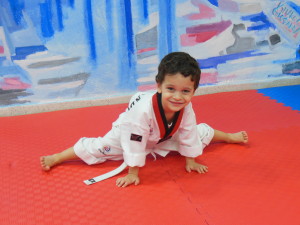 ΧΑΡΑΚΤΗΡΙΣΤΙΚΑ TAEKWONDO