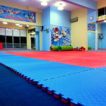 TAEKWONDO ΤΜΗΜΑΤΑ ΓΙΑ ΟΛΕΣ ΤΙΣ ΗΛΙΚΙΕΣ