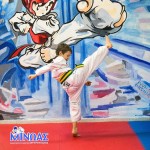 taekwondo-minoas-αργυρουπολη